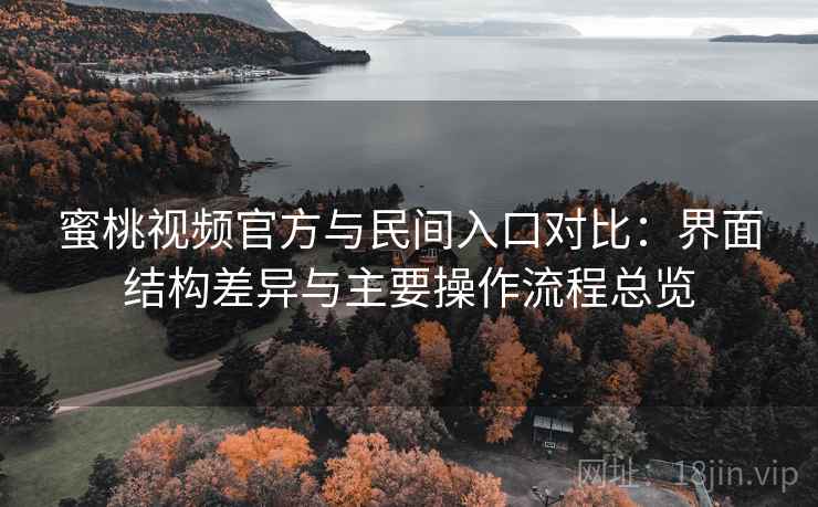 蜜桃视频官方与民间入口对比:界面结构差异与主要操作流程总览