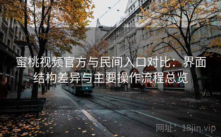 蜜桃视频官方与民间入口对比:界面结构差异与主要操作流程总览