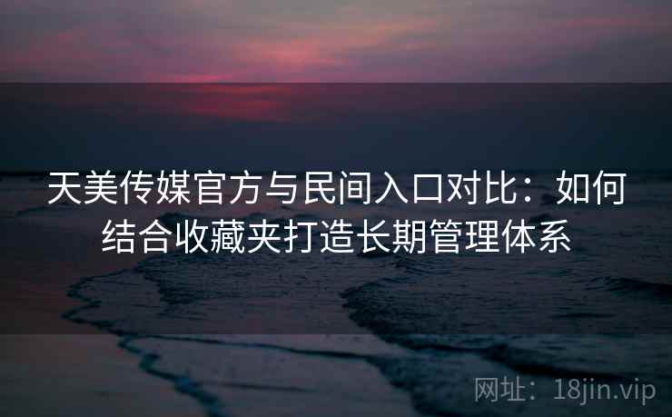 天美传媒官方与民间入口对比:如何结合收藏夹打造长期管理体系