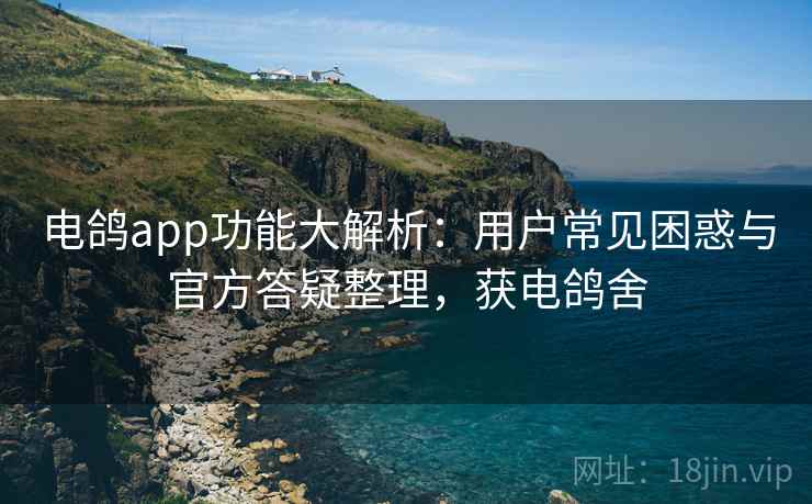 电鸽app功能大解析：用户常见困惑与官方答疑整理，获电鸽舍