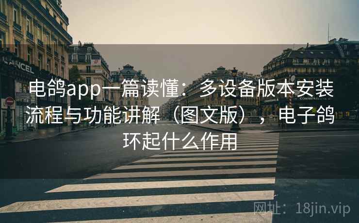 电鸽app一篇读懂:多设备版本安装流程与功能讲解(图文版),电子鸽环起什么作用