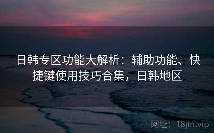 日韩专区功能大解析：辅助功能、快捷键使用技巧合集，日韩地区