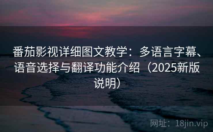 番茄影视详细图文教学：多语言字幕、语音选择与翻译功能介绍（2025新版说明）  第1张