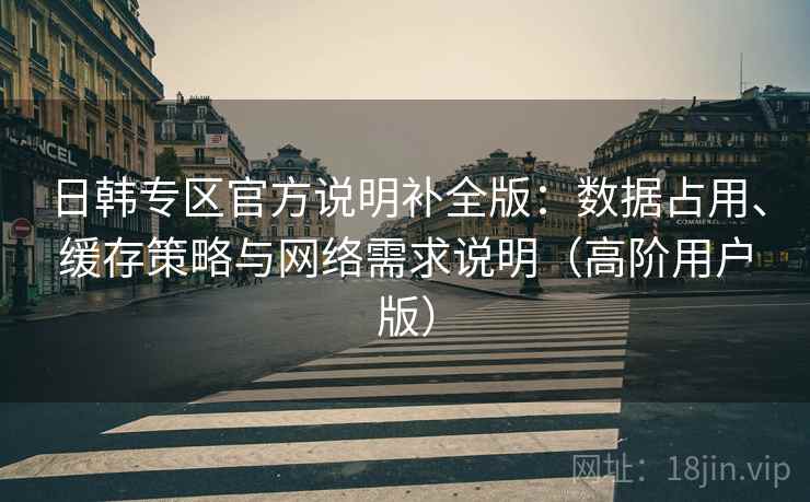 日韩专区官方说明补全版:数据占用、缓存策略与网络需求说明(高阶用户版)