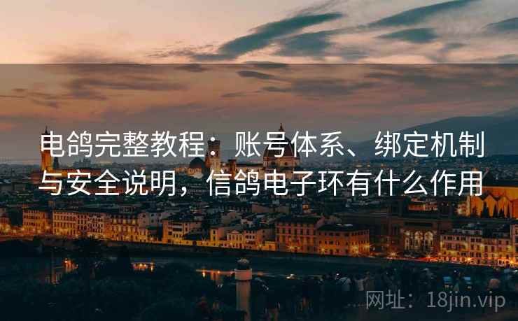 电鸽完整教程：账号体系、绑定机制与安全说明，信鸽电子环有什么作用