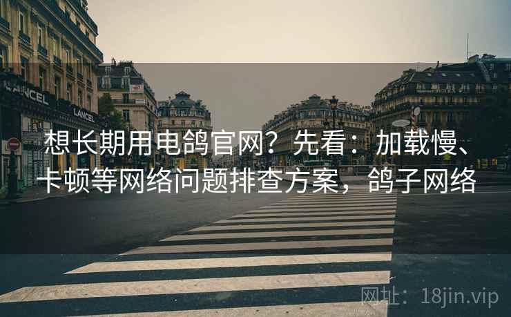 想长期用电鸽官网？先看：加载慢、卡顿等网络问题排查方案，鸽子网络
