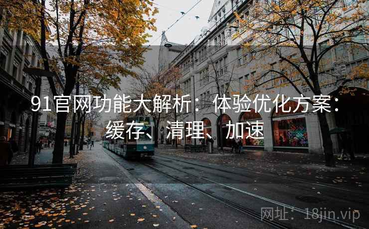 91官网功能大解析：体验优化方案：缓存、清理、加速