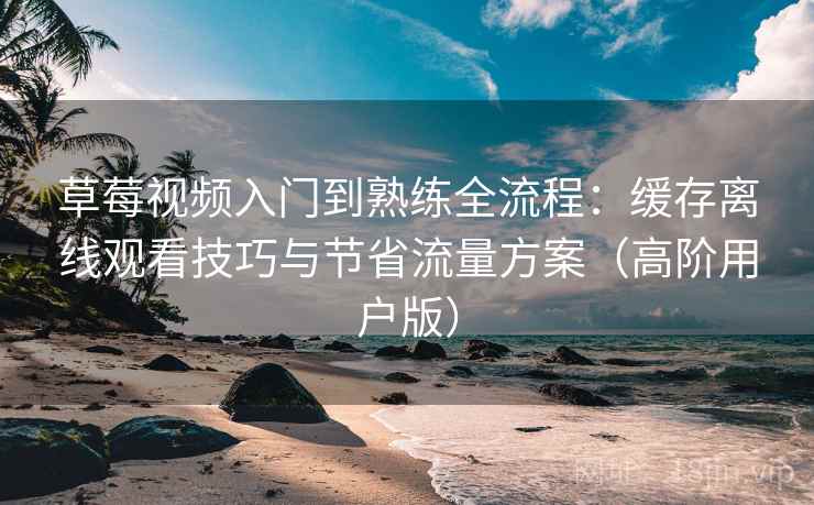 草莓视频入门到熟练全流程：缓存离线观看技巧与节省流量方案（高阶用户版）