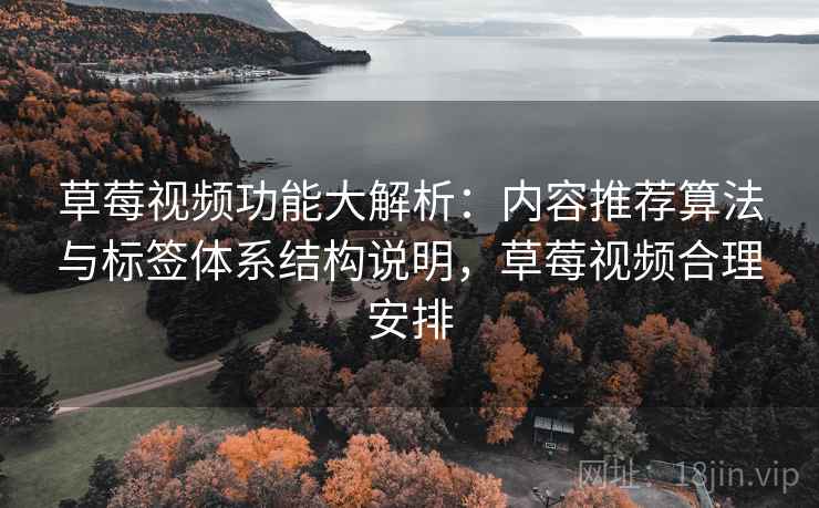草莓视频功能大解析：内容推荐算法与标签体系结构说明，草莓视频合理安排