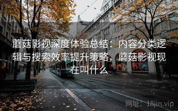 蘑菇影视深度体验总结：内容分类逻辑与搜索效率提升策略，蘑菇影视现在叫什么  第2张