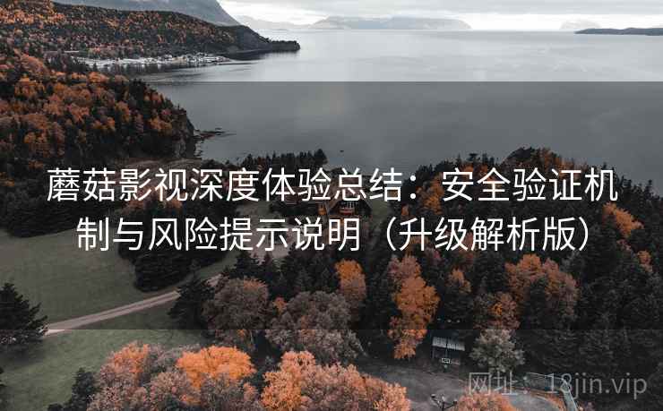 蘑菇影视深度体验总结：安全验证机制与风险提示说明（升级解析版）  第1张