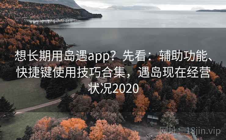 想长期用岛遇app？先看：辅助功能、快捷键使用技巧合集，遇岛现在经营状况2020  第1张