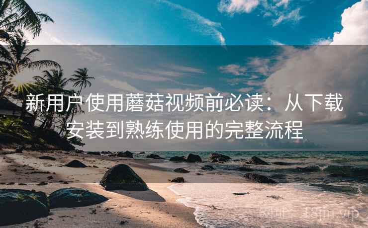 新用户使用蘑菇视频前必读：从下载安装到熟练使用的完整流程