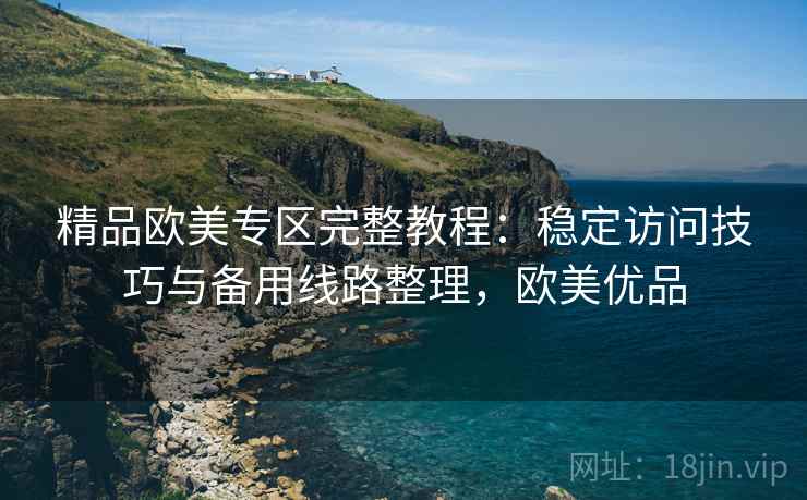 精品欧美专区完整教程：稳定访问技巧与备用线路整理，欧美优品