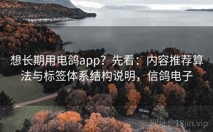 想长期用电鸽app?先看:内容推荐算法与标签体系结构说明,信鸽电子