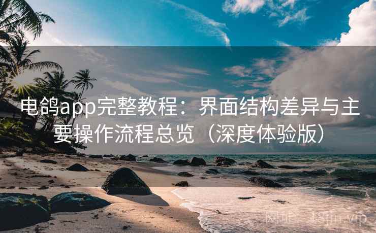 电鸽app完整教程:界面结构差异与主要操作流程总览(深度体验版) 第2张 电鸽app完整教程:界面结构差异与主要操作流程总览(深度体验版) 第2张