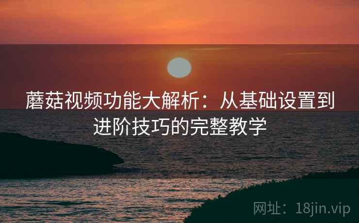 蘑菇视频功能大解析:从基础设置到进阶技巧的完整教学