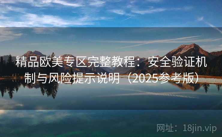 精品欧美专区完整教程:安全验证机制与风险提示说明(2025参考版) 第2张 精品欧美专区完整教程:安全验证机制与风险提示说明(2025参考版) 第2张